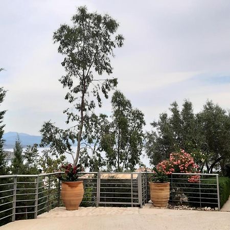Stone House In Olive Grove Villa Tolo Ngoại thất bức ảnh