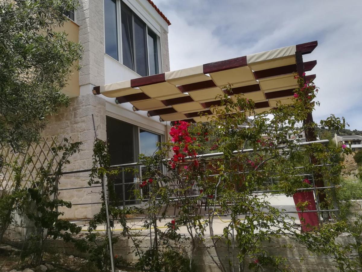 Stone House In Olive Grove Villa Tolo Ngoại thất bức ảnh