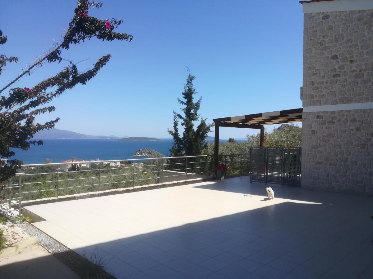 Stone House In Olive Grove Villa Tolo Ngoại thất bức ảnh