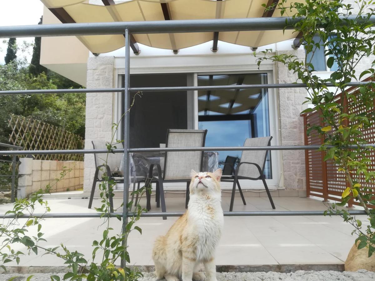 Stone House In Olive Grove Villa Tolo Ngoại thất bức ảnh