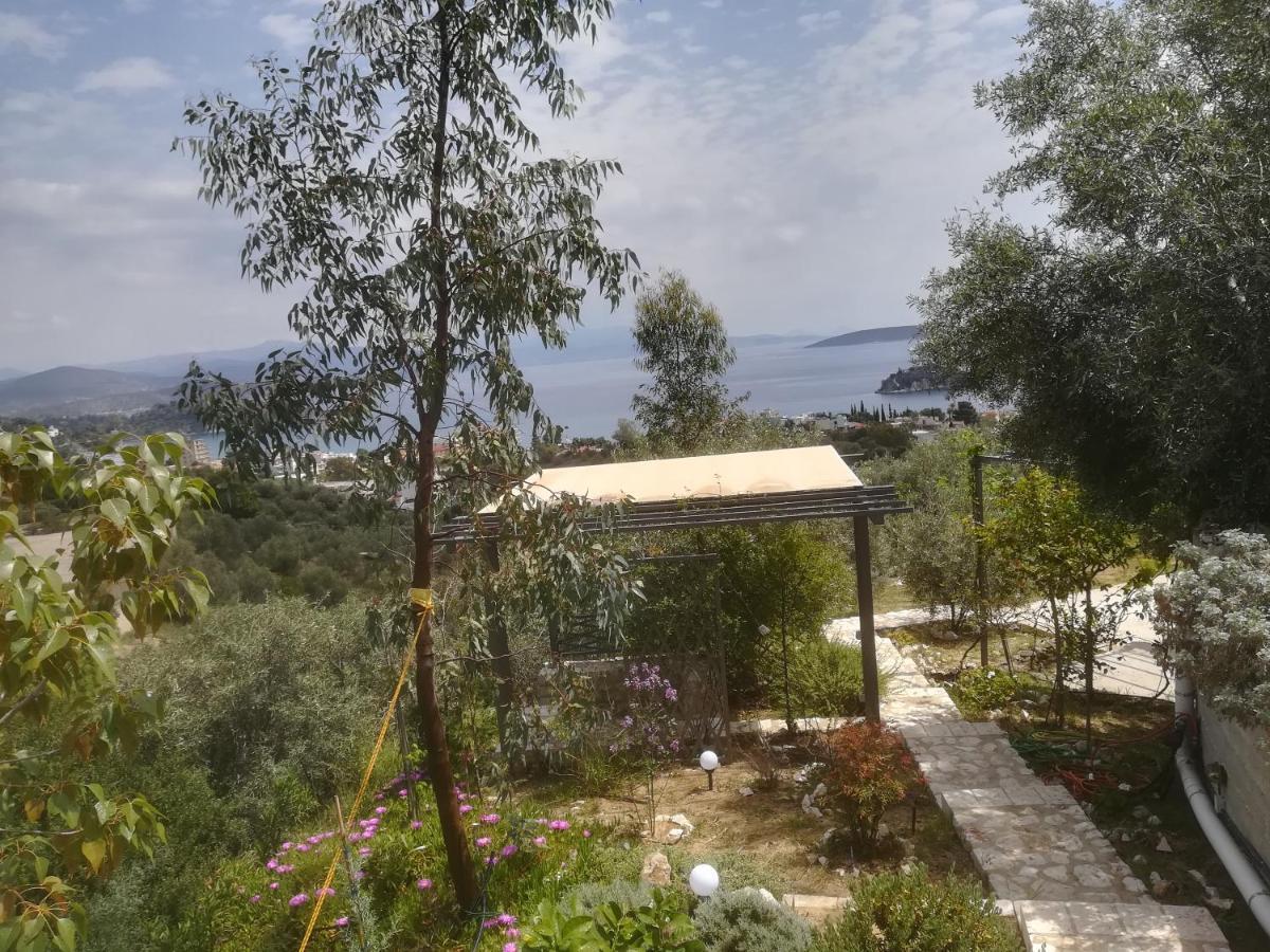 Stone House In Olive Grove Villa Tolo Ngoại thất bức ảnh