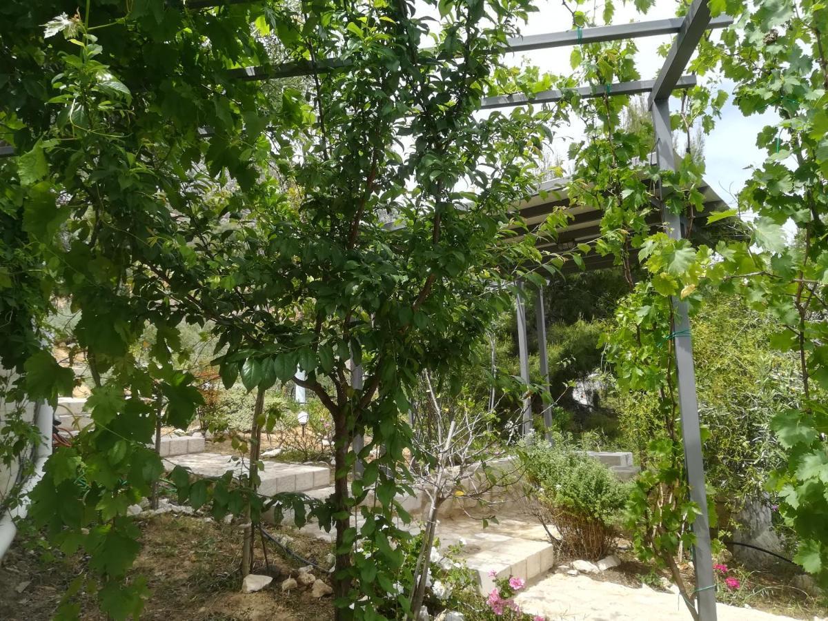 Stone House In Olive Grove Villa Tolo Ngoại thất bức ảnh