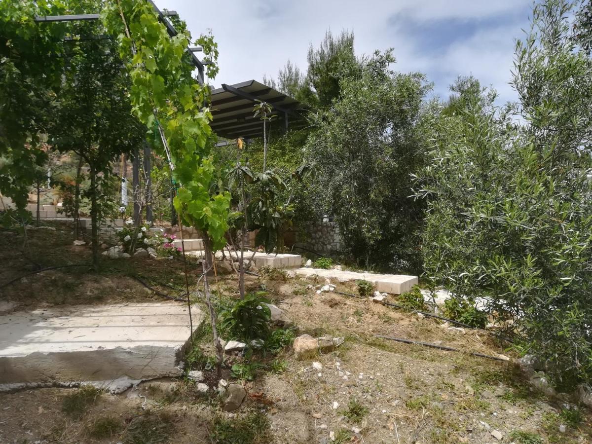 Stone House In Olive Grove Villa Tolo Ngoại thất bức ảnh