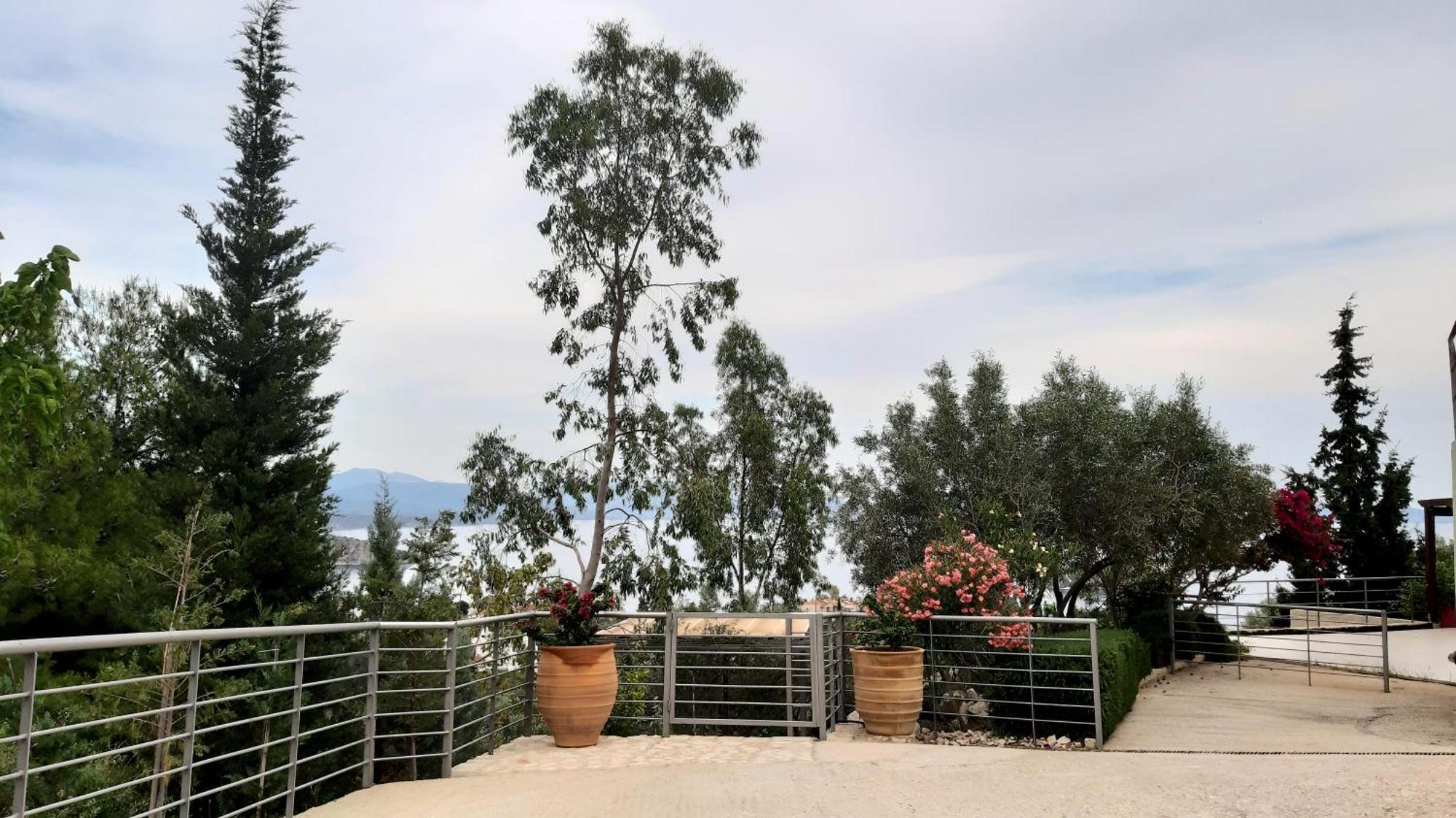 Stone House In Olive Grove Villa Tolo Ngoại thất bức ảnh