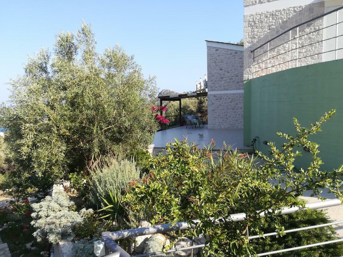 Stone House In Olive Grove Villa Tolo Ngoại thất bức ảnh