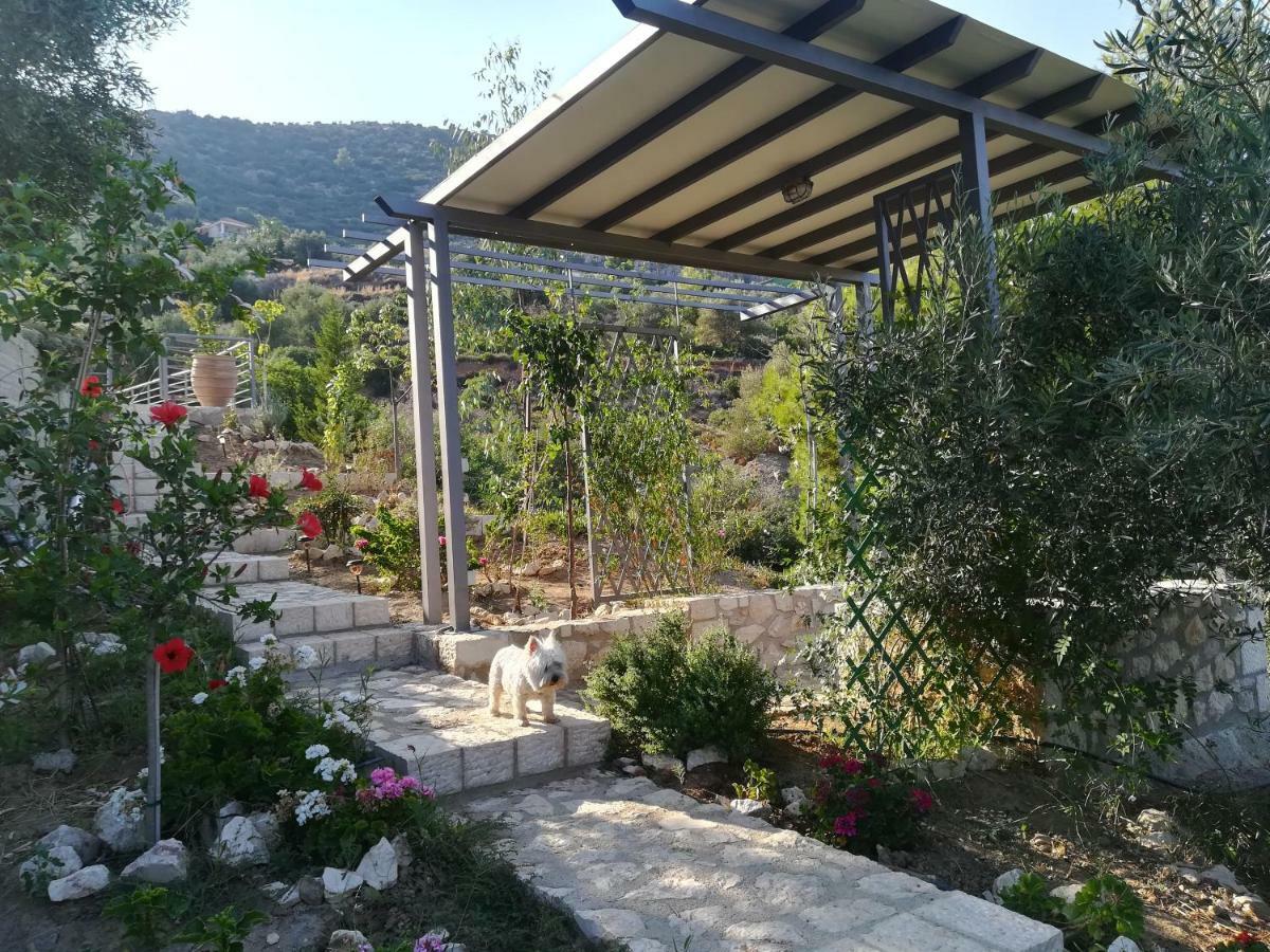 Stone House In Olive Grove Villa Tolo Ngoại thất bức ảnh