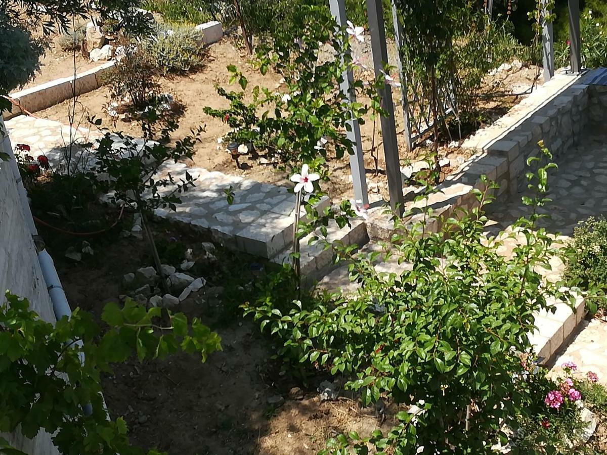 Stone House In Olive Grove Villa Tolo Ngoại thất bức ảnh